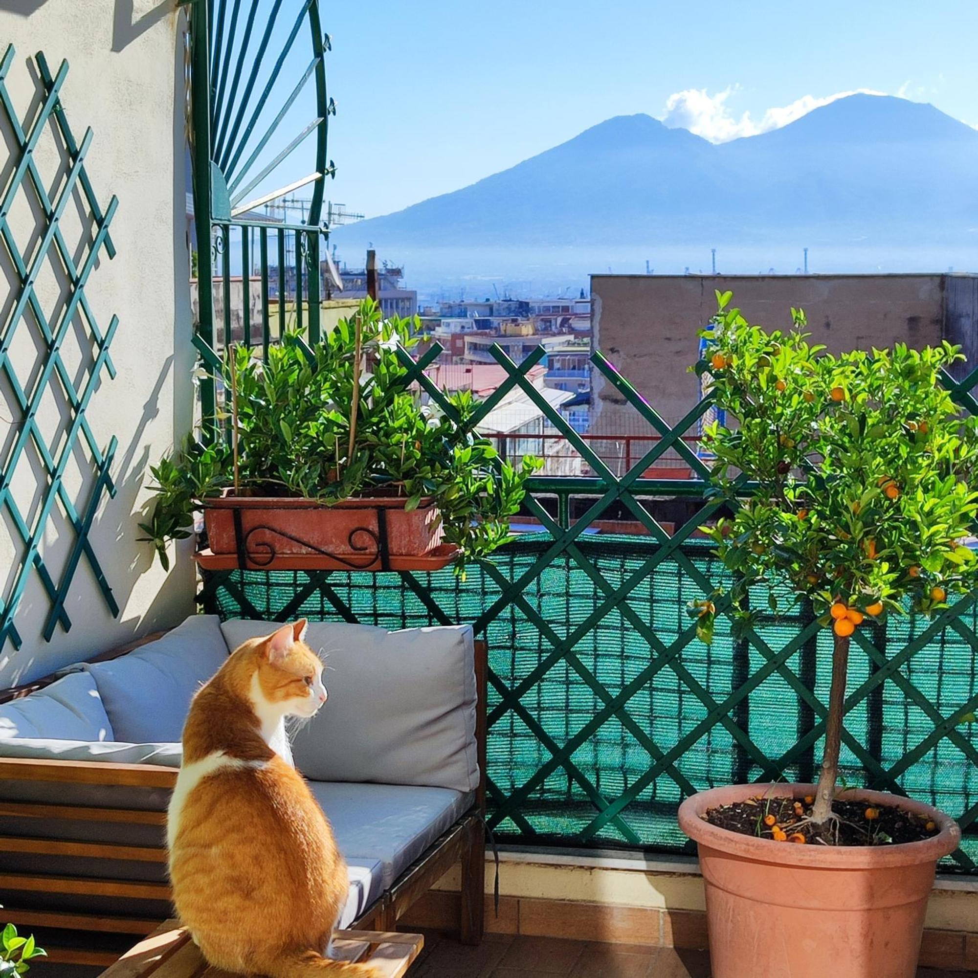 La Casa Blu Bed & Breakfast Napoli Bagian luar foto